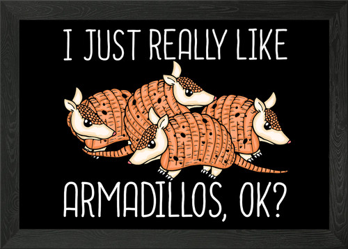 Armadillo gift wildlife - gift, framed