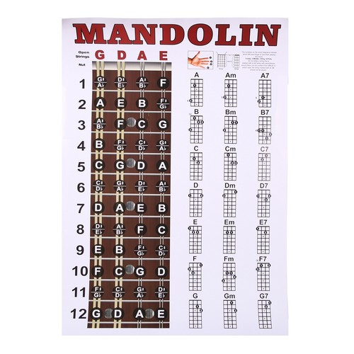 Mandolin poster chart chord - mandolin,
