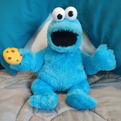 Rare sesame street cookie - rare,