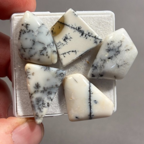 Carat dendrite opal 5 - carat,