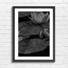 Vintage Water Lily Botanical