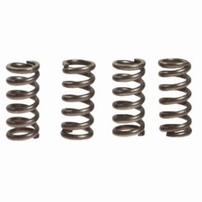 EBC CSK016 Clutch Spring Kit 4