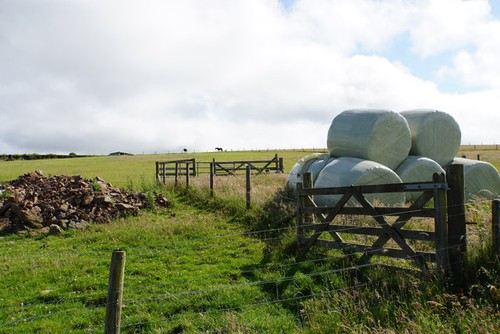 Photo silage bales below - a2,