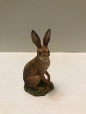 border fine arts Field Study