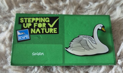 Rspb bird pin badge - bird,
