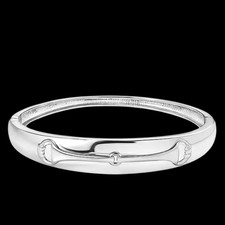 Stunning Polished Stainless