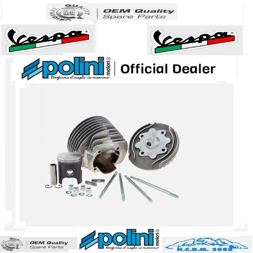 Polini evolution thermal group - evolution,