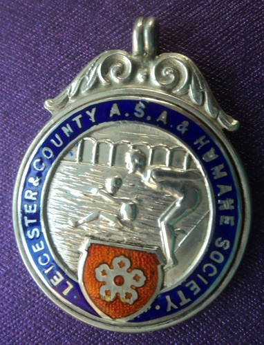Silver enamel swimming medal - silver,