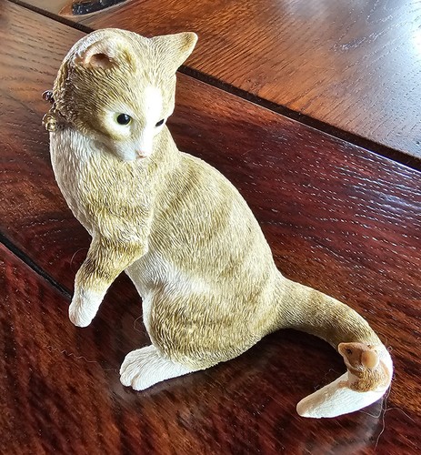 Sherratt simpson tabby - &, cat
