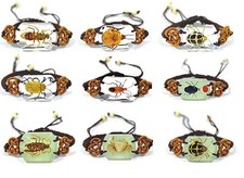Real insect bracelet - insect, jewellery