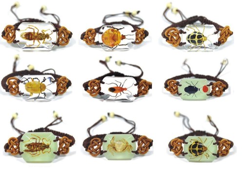 Real insect bracelet jewellery - insect,