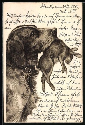 Lithograph hunting dog - a,