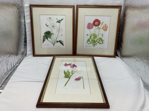Vintage framed geoff carol - vintage, &