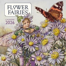 Flower Fairies Mini Wall