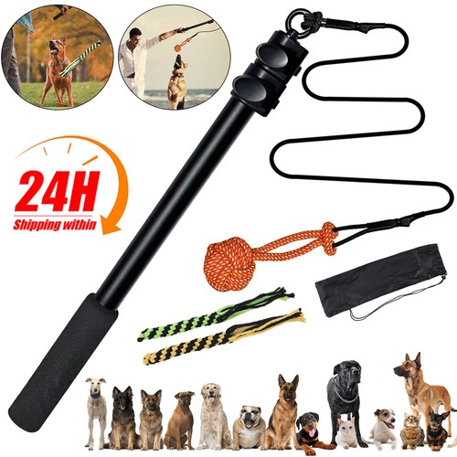 Extendable flirt pole for - extendable,