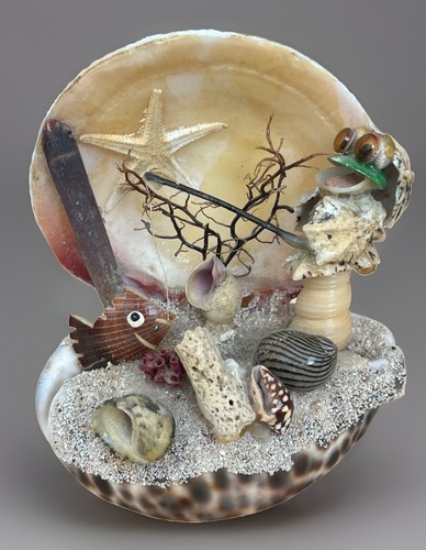 Sea shell vintage - shell, an