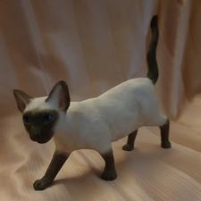 Siamese Cat The Leonardo