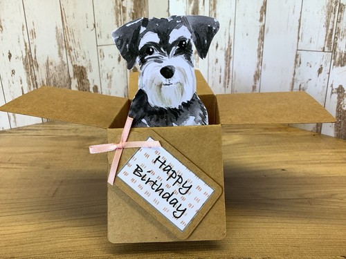 Schnauzer dog birthday card - dog,