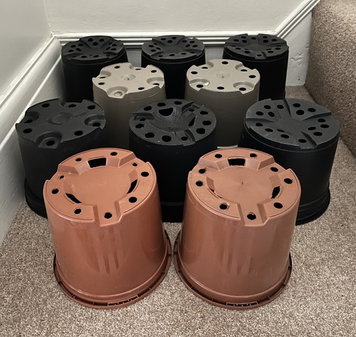 Litre plastic plant - x, 3