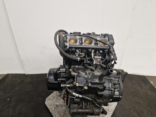 Triumph tiger 800 - tiger, engine