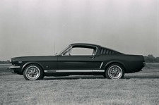 Motor Racing 1966 Ford Mustang