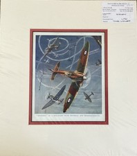 Spitfires dog fight with - a,