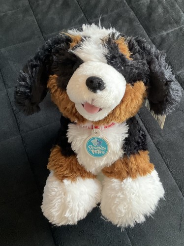 Build bear workshop promise - workshop,