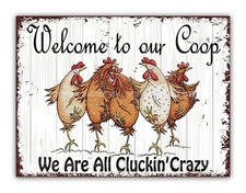 Funny chicken are all - chicken, we