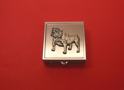 English bulldog square - square, mint