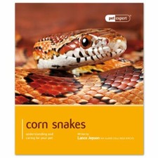Corn Snakes - Pet Expert