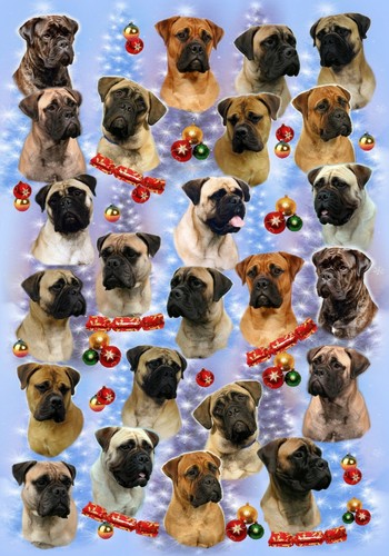 Bullmastiff dog christmas gift - bullmastiff,