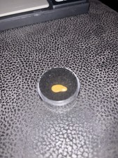 Alaska Leaf Gold Nugget 0.49