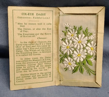 Kensitas Flowers Ox-Eye Daisy No 38 Small Silk Flowers Cigarette Cards