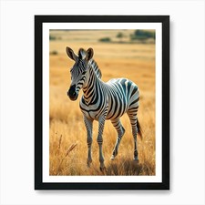 Zebra In The Grass Art Print