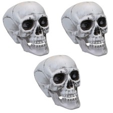 3 x Human Skull Skeleton Head with Moving Jaw Halloween Party Bones Decoration
