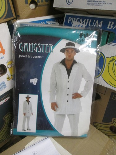 Adult mans fancy dress - fancy,