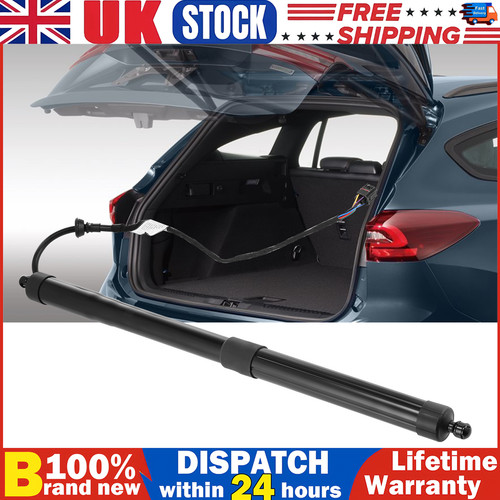 Electric tailgate gas strut - tailgate,