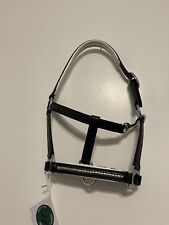 MINI SHETLAND  HEAD COLLAR IN LEATHER WITH SILVER CLINCHER COLOUR BLACK