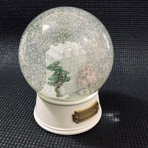 Christian dior snow - snow, 2026