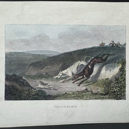 Antique dog print engraving - dog,