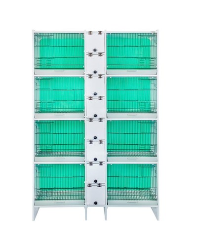 Double breeding cage budgies - cage,