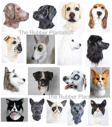 Latex cat dog mask - &, pussycat