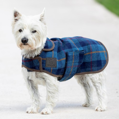 Shires digby and fox tweed - digby,