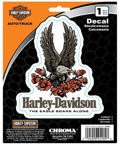 Harley davidson eagle with - eagle,