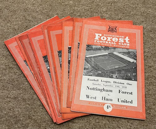 Nottingham forest - forest,