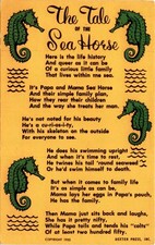 Sea Horse, Papa, Mama Sea