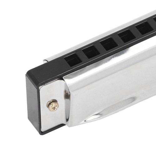 Diatonic harmonica compact - diatonic,