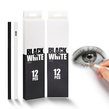 White and Black Charcoal Pencils Set Sketch Highlight Colored Pencils for Artist