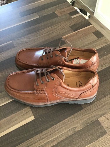 Clarks cushion cell - cell, line