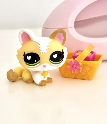 Kitten cat 327 - cat, #g7